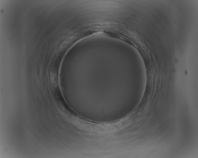 X0000071780031200606301231