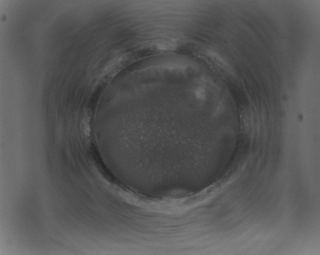 X0000071780032200606301231