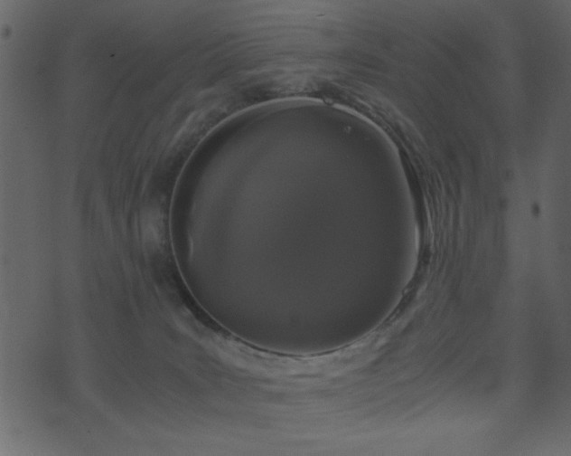 X0000071780035200606301231