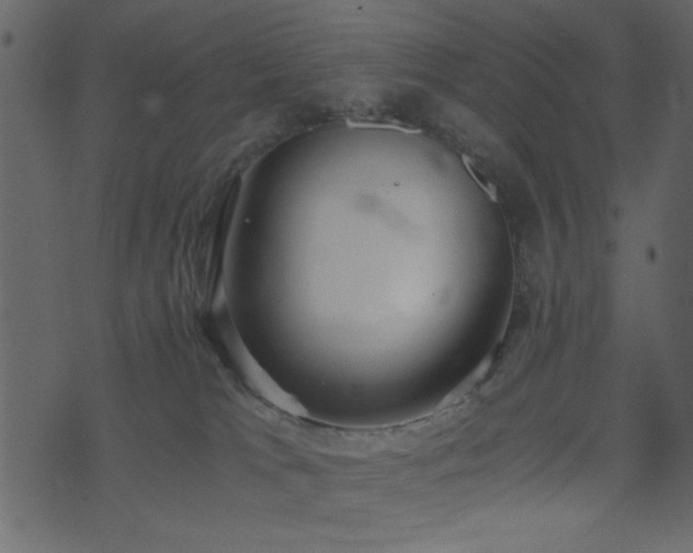 X0000071780037200606301231