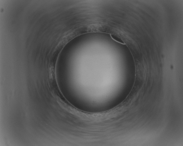 X0000071780038200606301231