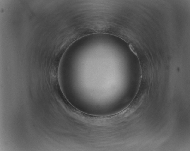 X0000071780040200606301231