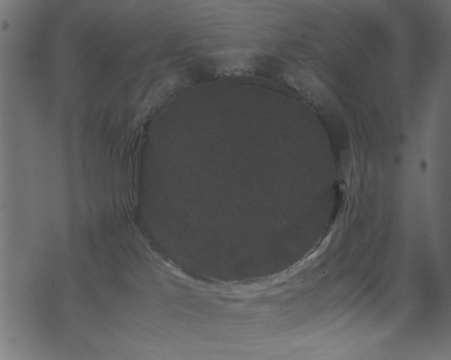 X0000071780041200606301231