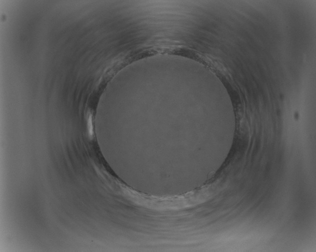 X0000071780042200606301231