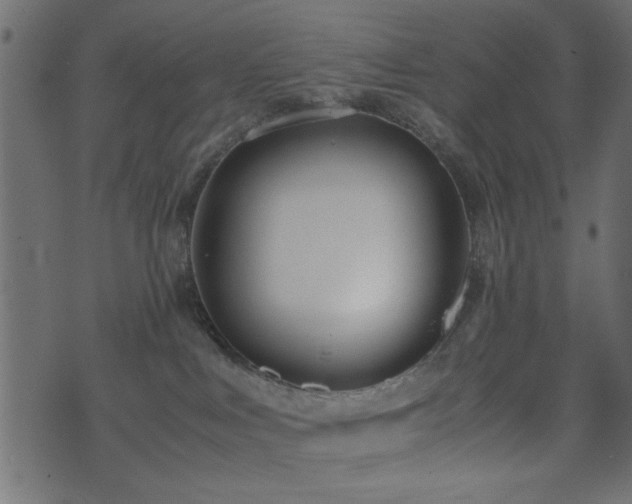 X0000071780043200606301231