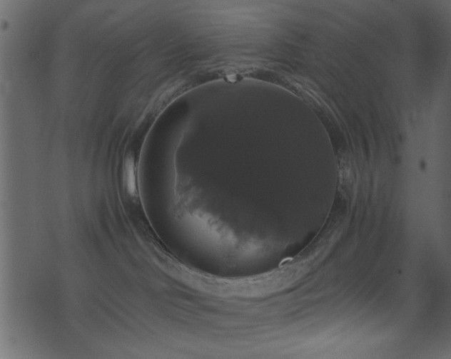 X0000071780046200606301231