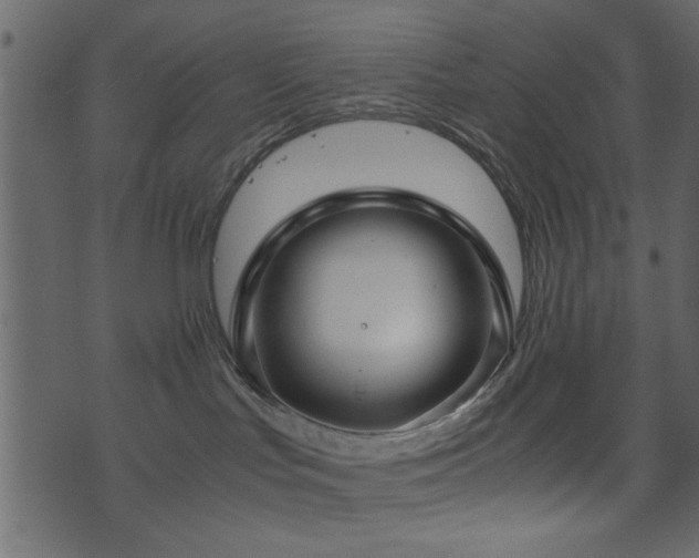 X0000071780047200606301231