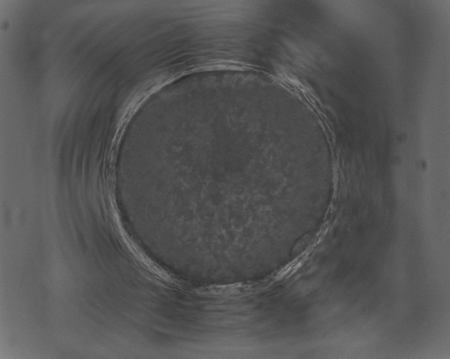 X0000071780049200606301230