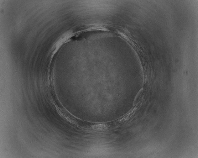 X0000071780050200606301230