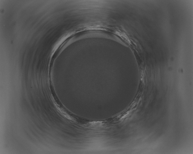 X0000071780052200606301230