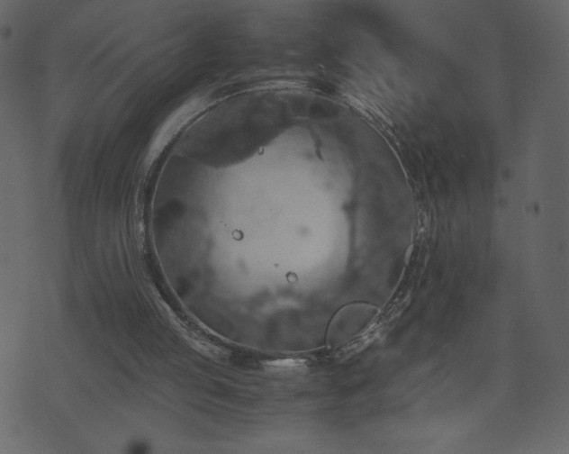 X0000071780053200606301230