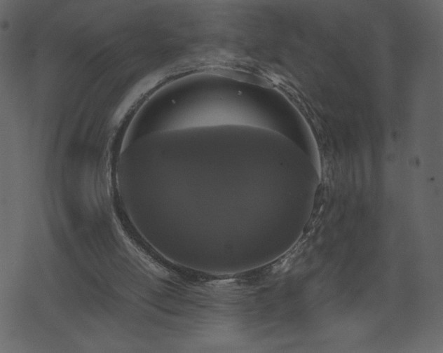 X0000071780054200606301230