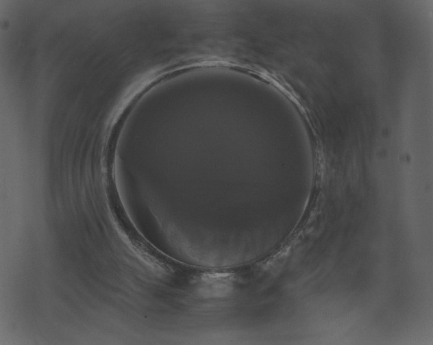 X0000071780055200606301230