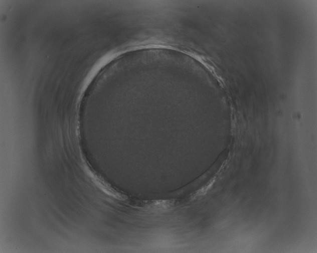 X0000071780056200606301230