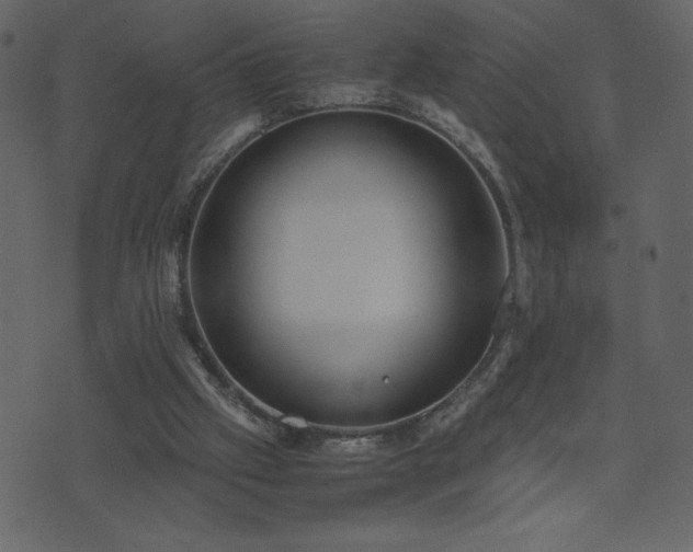 X0000071780057200606301230