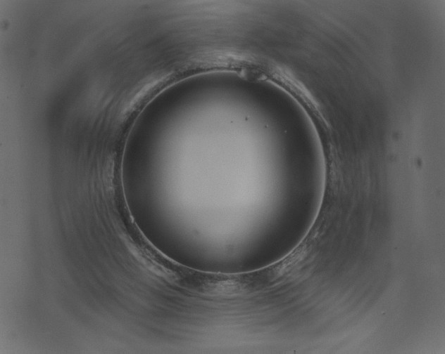 X0000071780058200606301230