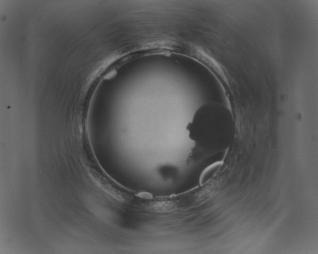 X0000071780059200606301230