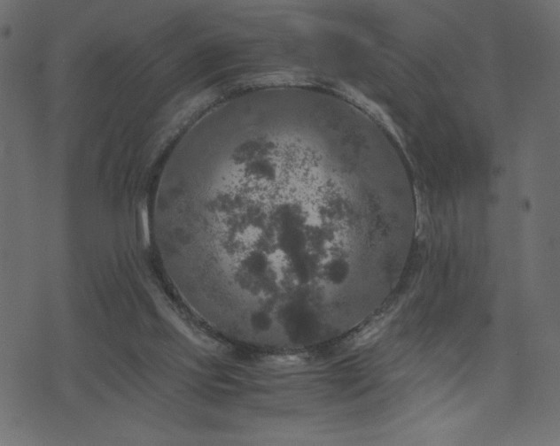 X0000071780061200606301230