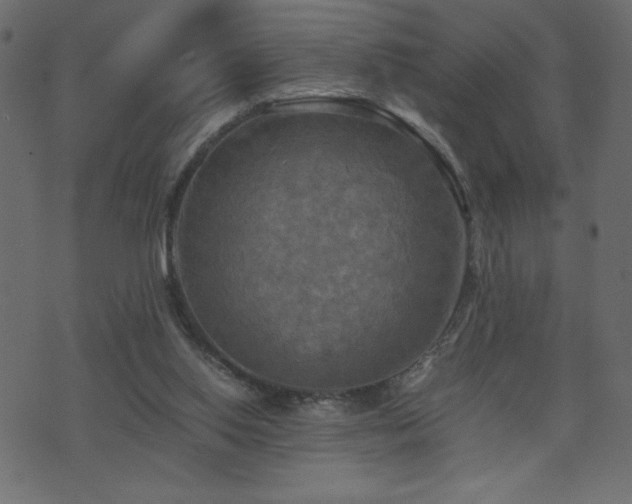 X0000071780062200606301230