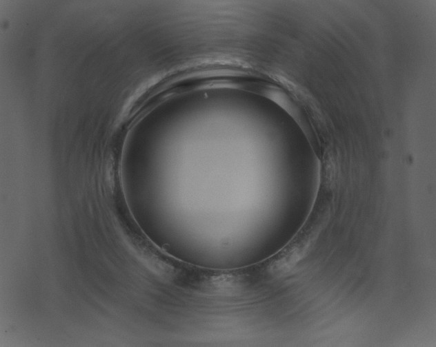 X0000071780064200606301230