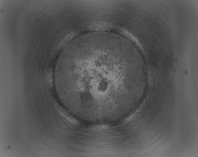 X0000071780065200606301230