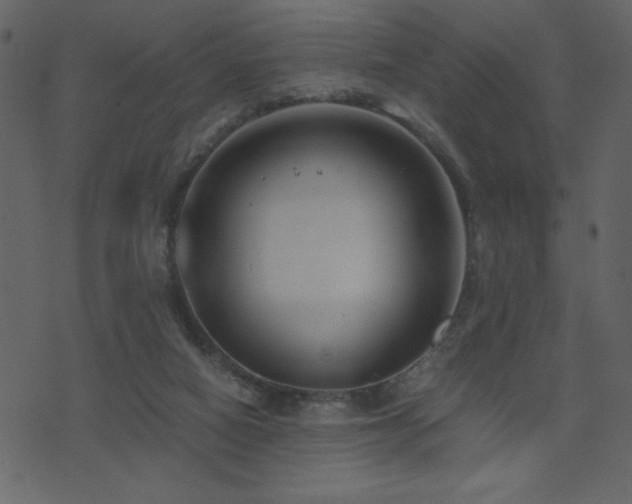 X0000071780066200606301230