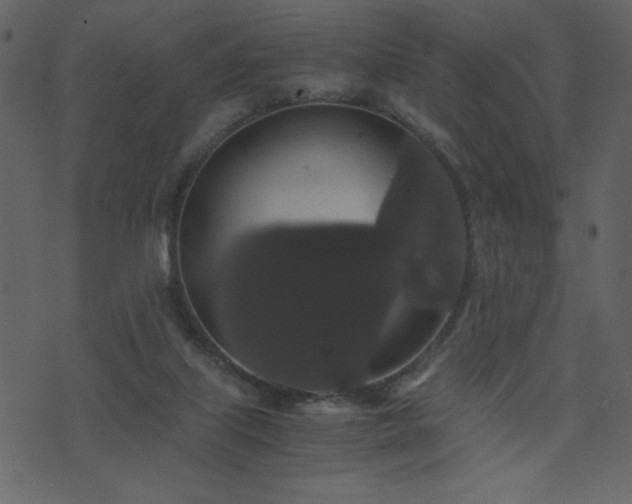 X0000071780067200606301230