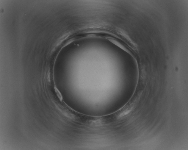 X0000071780068200606301230