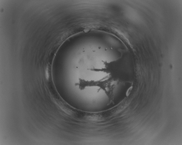 X0000071780069200606301230