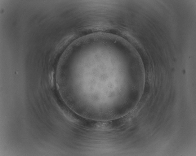 X0000071780070200606301230