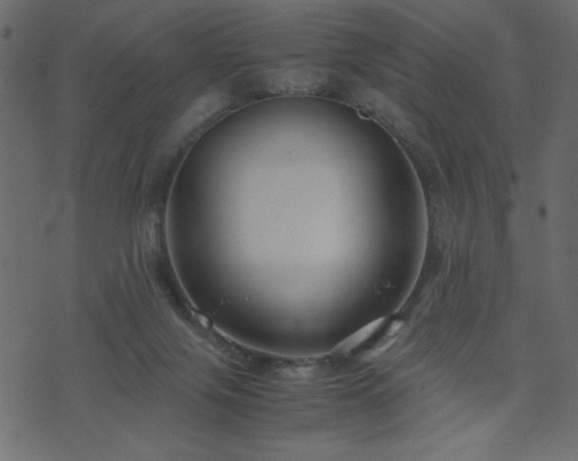 X0000071780071200606301230