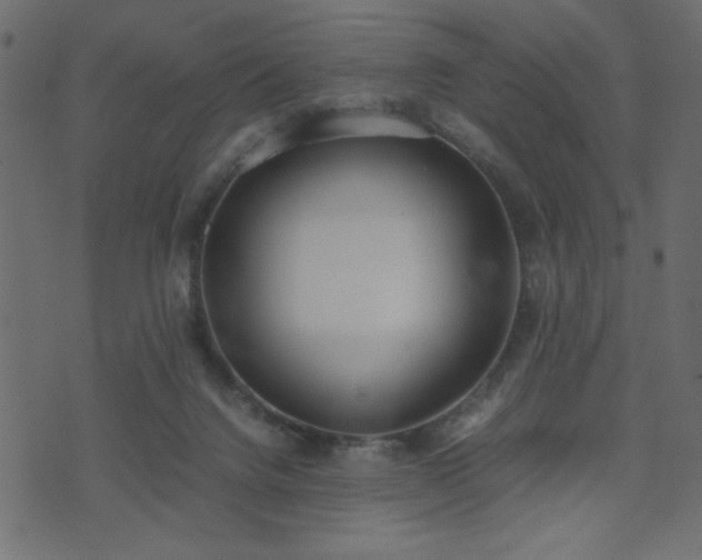 X0000071780072200606301230