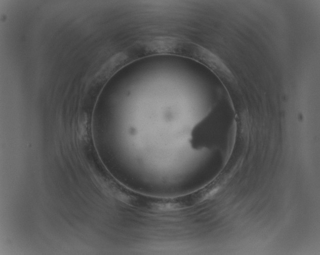 X0000071780073200606301230