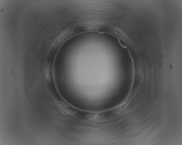 X0000071780074200606301231