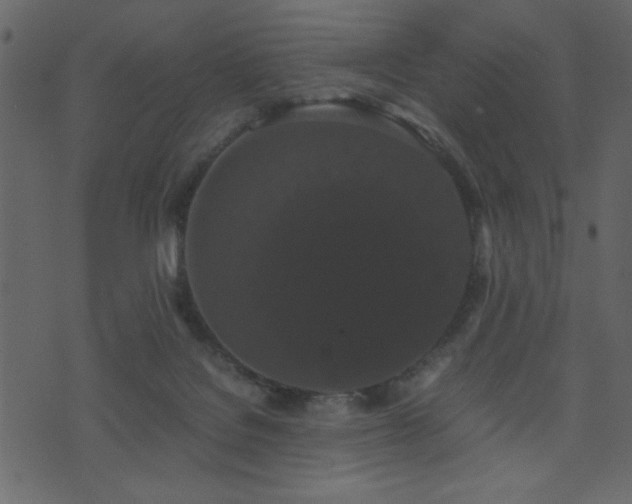 X0000071780076200606301231