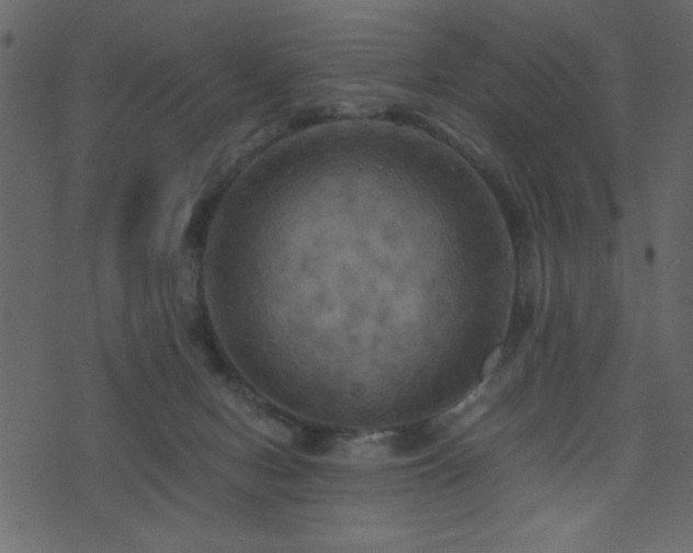 X0000071780078200606301231