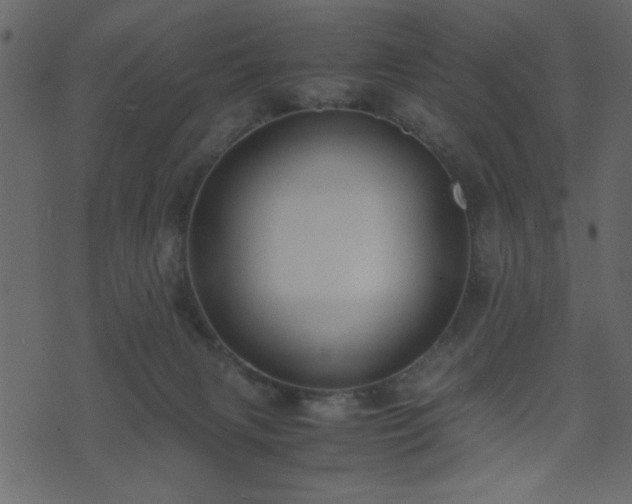 X0000071780079200606301231