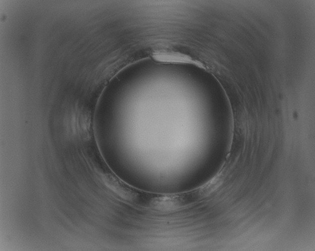 X0000071780082200606301231