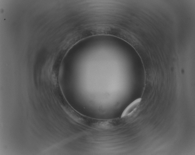 X0000071780086200606301231