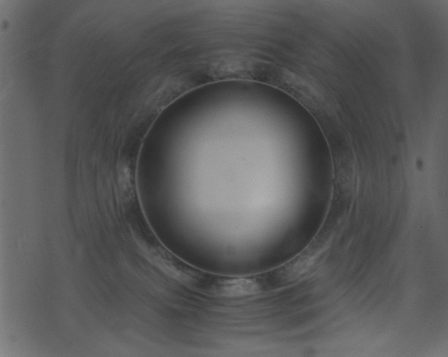 X0000071780087200606301231