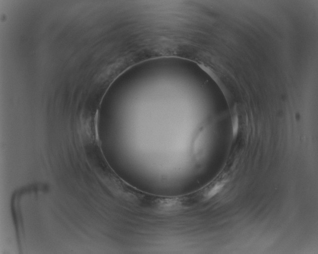 X0000071780088200606301231