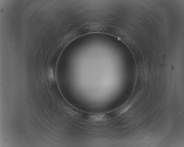 X0000071780089200606301231