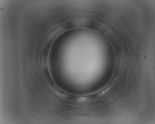 X0000071780091200606301231