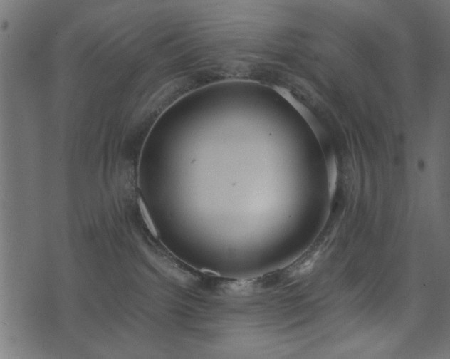 X0000071780092200606301231