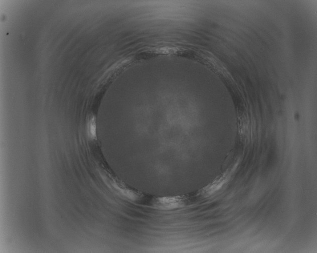 X0000071780095200606301231