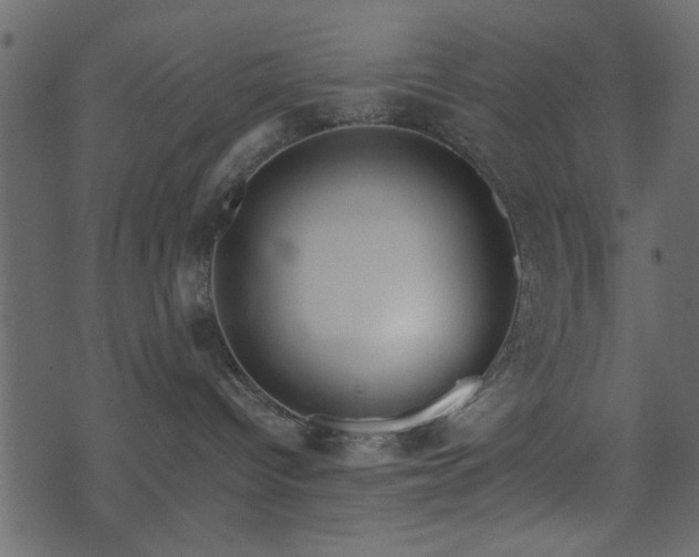 X0000071780096200606301231