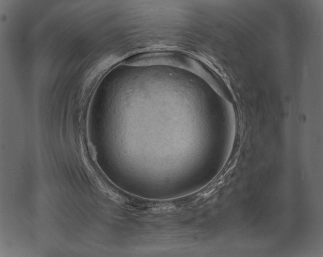 X0000071780097200606301230