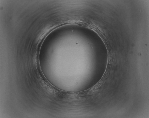 X0000071780098200606301230