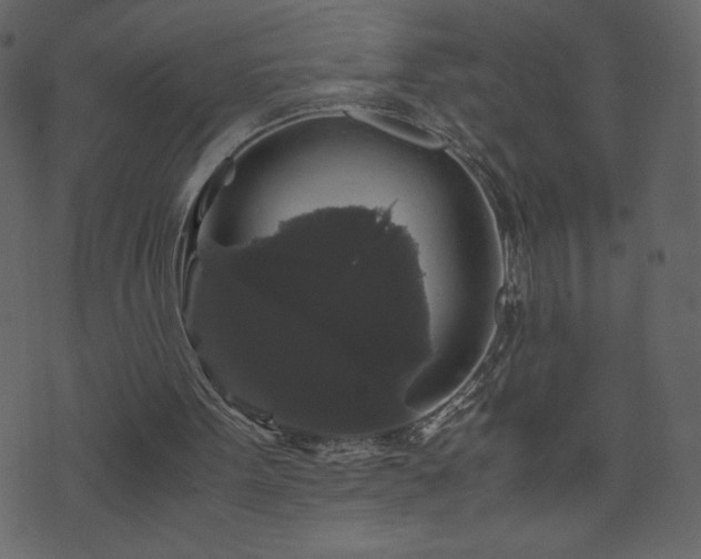 X0000071780099200606301230