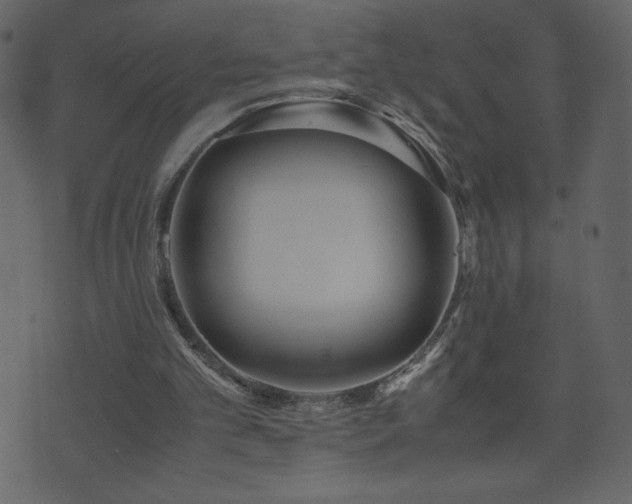 X0000071780101200606301230